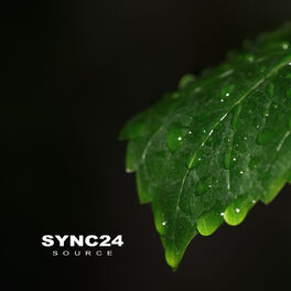 SYNC24