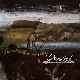 Dervish