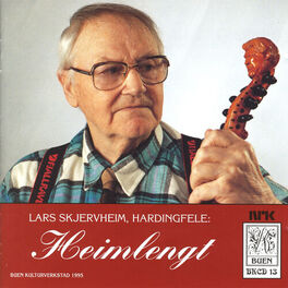 Artist picture of Lars Skjervheim