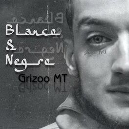 Artist picture of Grizoo MT