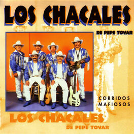 Artist picture of Los Chacales De Pepe Tovar