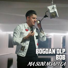 Bogdan DLP