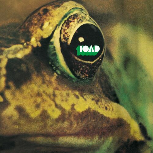 Toad: Músicas Com Letras E álbuns | Ouvir Na Deezer