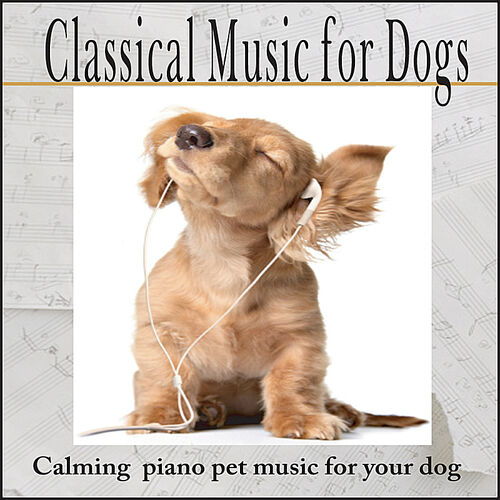 why is classical music good for dogs