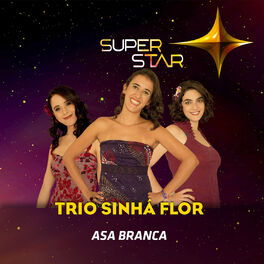 Artist picture of Trio Sinhá Flor