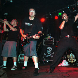 Artist picture of Voodoo Glow Skulls