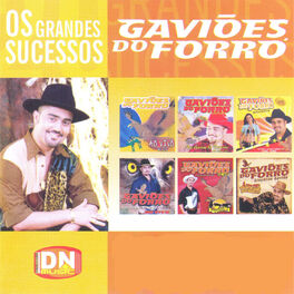 Artist picture of Gaviões do Forró