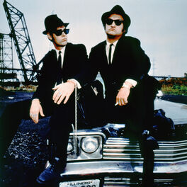 Artist picture of The Blues Brothers