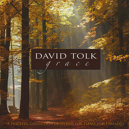 Artist picture of David Tolk