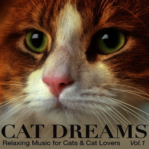 CD of Music for Cats Album One