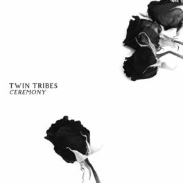 Artist picture of Twin Tribes