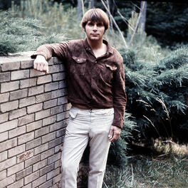 Artist picture of Joe South