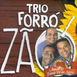 Artist picture of Trio Forrozão