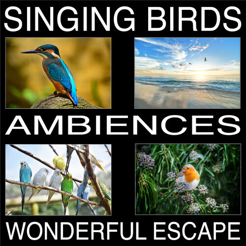 Singing Bird Escape - Jogo Gratuito Online