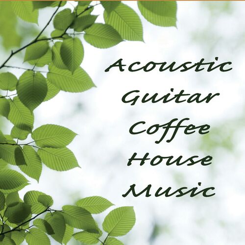 Steve Petrunak, Acoustic Guitar Tribute Players & Soft Background Music:  albums, songs, playlists | Listen on Deezer