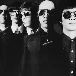 Artist picture of Flamin' Groovies