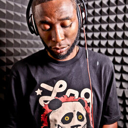 Artist picture of 9th Wonder