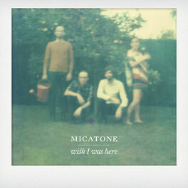 Artist picture of Micatone