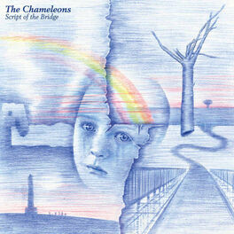 Artist picture of The Chameleons