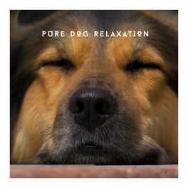 Artist picture of Relaxing Dog Chillout