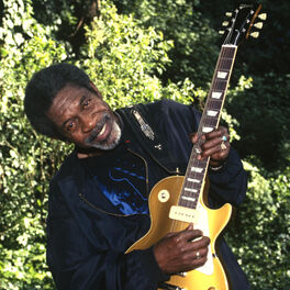Artist picture of Luther Allison