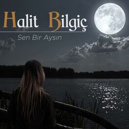Halit Bilgiç