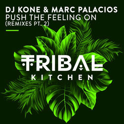 Dj Kone & Marc Palacios - Push The Feeling On (Block & Crown Rmx)