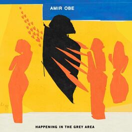 Artist picture of Amir Obe