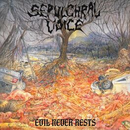 Artist picture of Sepulchral Voice