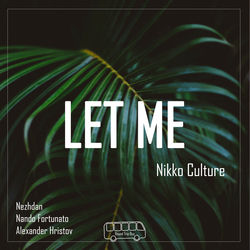 Nikko Culture - Something's Gone