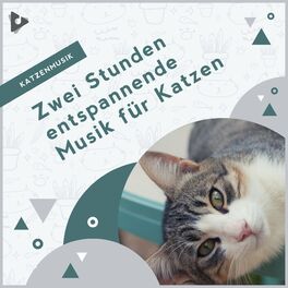 Artist picture of Katzenmusik