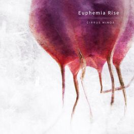 Artist picture of Euphemia Rise