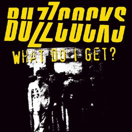 Artist picture of The Buzzcocks