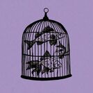 Fish in a Birdcage