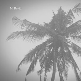 Artist picture of M. David