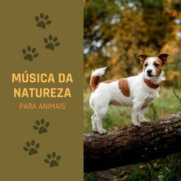 Artist picture of Academia de Música para Animais
