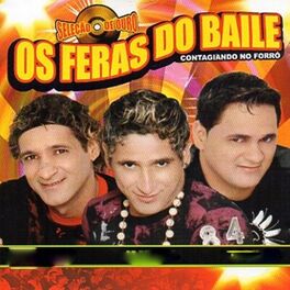 Os Feras do Baile