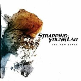 Artist picture of Strapping Young Lad