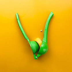 Melissa Otto I Miss You Music Track On Frogtoon Music melissa otto i miss you music track