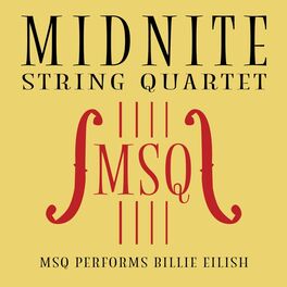 Artist picture of Midnite String Quartet