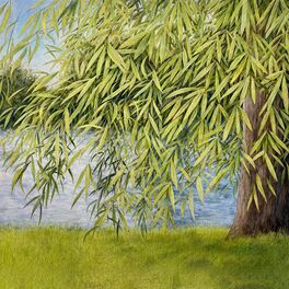 Artist picture of Martin Simpson