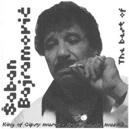 Saban Bajramovic