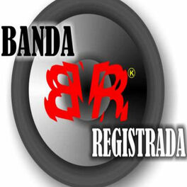 Artist picture of Banda Registrada