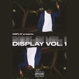 Artist picture of DI$play
