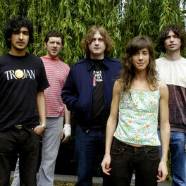 Artist picture of The Zutons