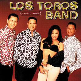 Artist picture of Los Toros Band