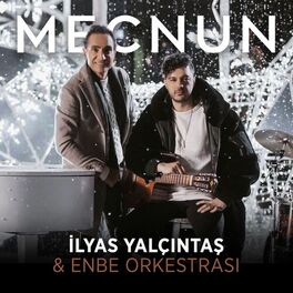 Artist picture of Enbe Orkestrası