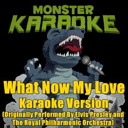 Monster Karaoke 专辑 歌曲 播放列表 在deezer上收听