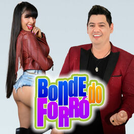 Artist picture of Bonde do Forro