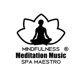 Artist picture of Mindfulness Meditation Music Spa Maestro